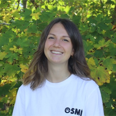 Votez pour votre projet Les 4S