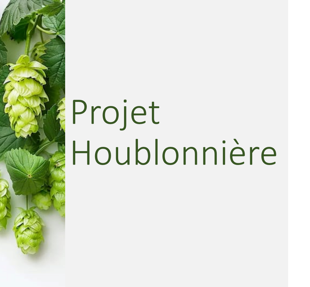 Votez pour votre projet Les 4S