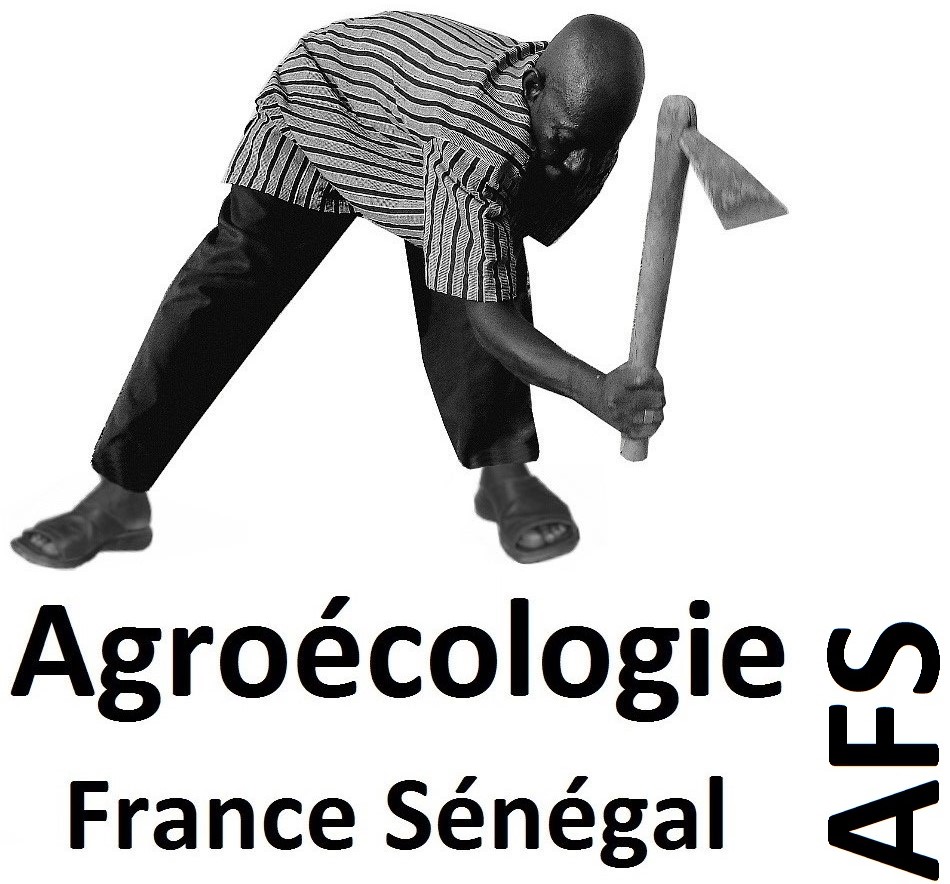 Votez pour votre projet Les 4S